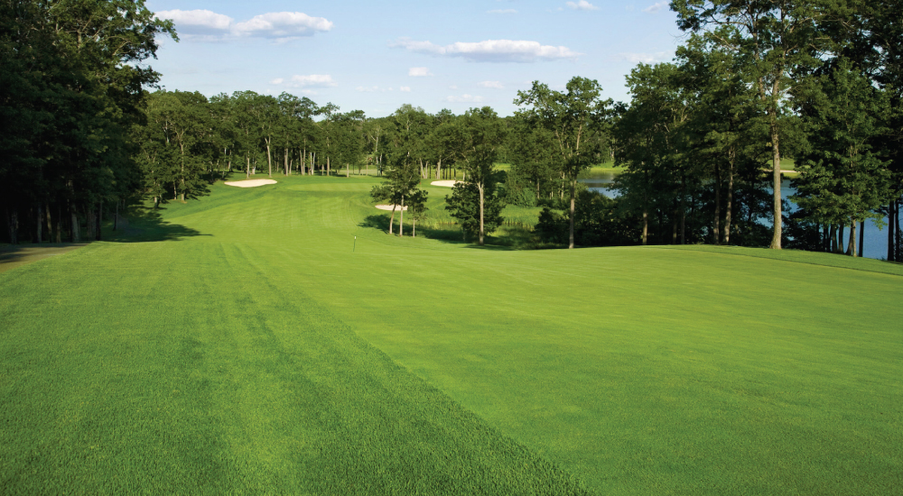 low price bermuda sod