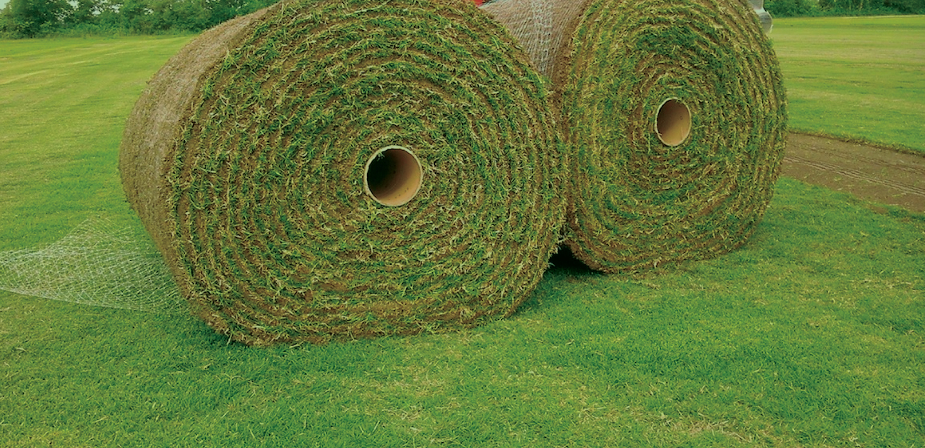Sod Grass Supplier Cherokee Turf