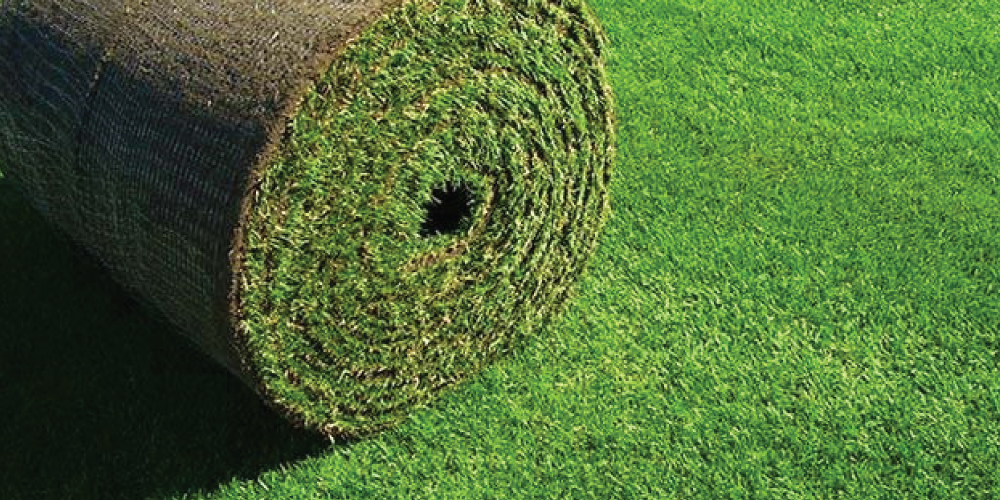 cherokee turf farm calhoun ga