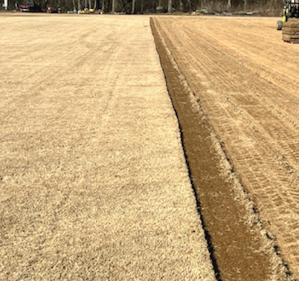 how much sod do i need