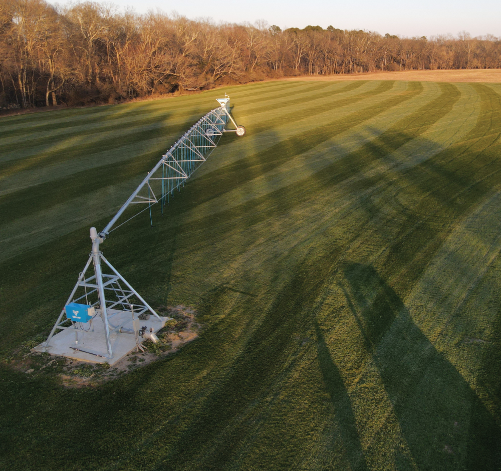 how much to water sod